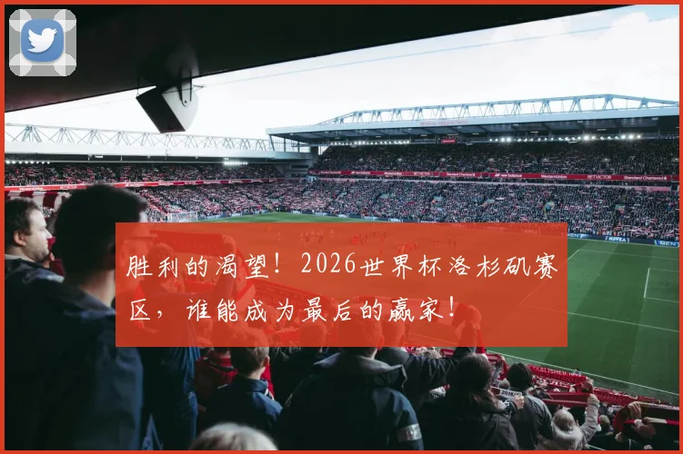 胜利的渴望！2026世界杯洛杉矶赛区，谁能成为最后的赢家！