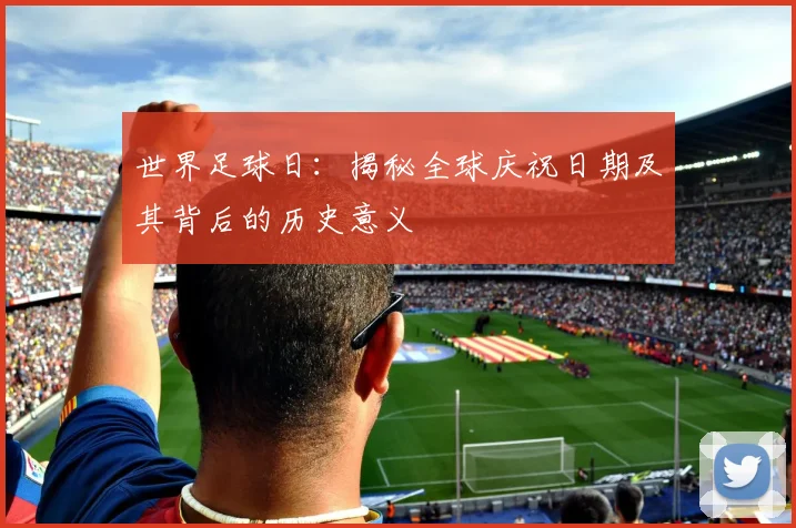 世界足球日:揭秘全球庆祝日期及其背后的历史意义